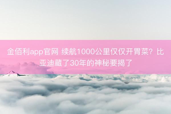 金佰利app官网 续航1000公里仅仅开胃菜?比亚迪藏了30年的神秘要揭了